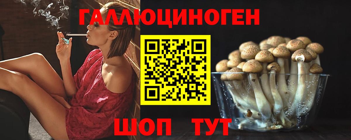 Галлюциногенные грибы мицелий  Вход с VPN  Мурино 
